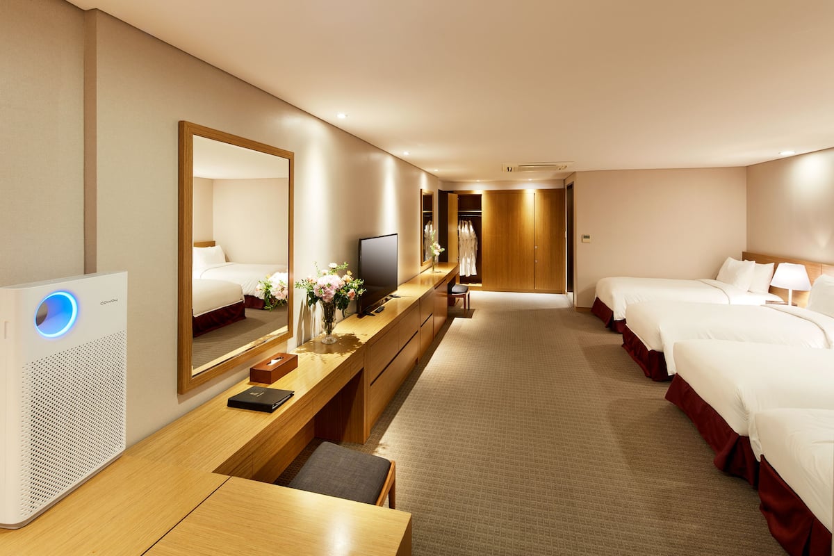A hotel room with a bed, a desk, a chair, a TV, a mirror, and a wardrobe.