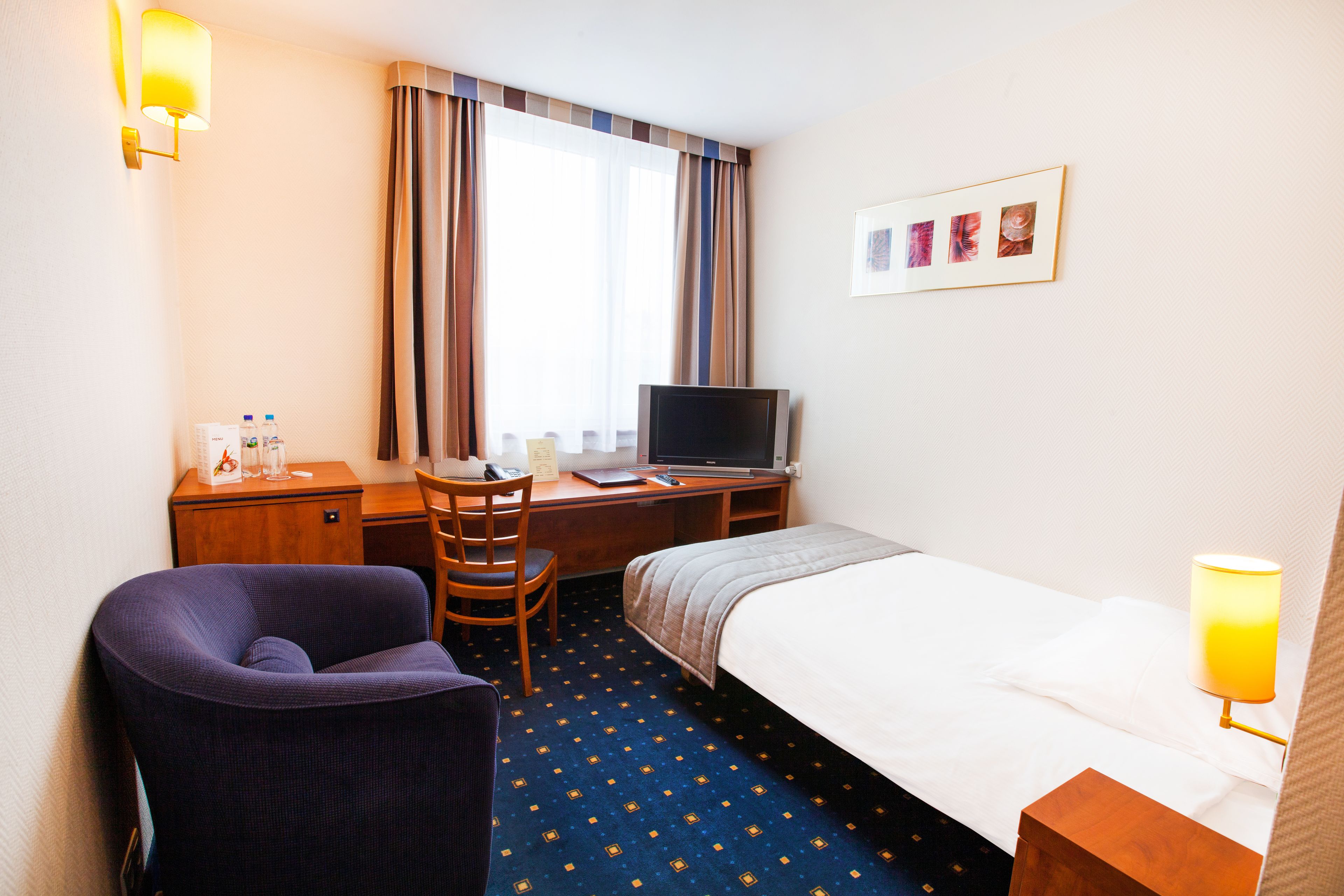 standard single room | 1 bedroom, desk, iron/ironing board, free wifi