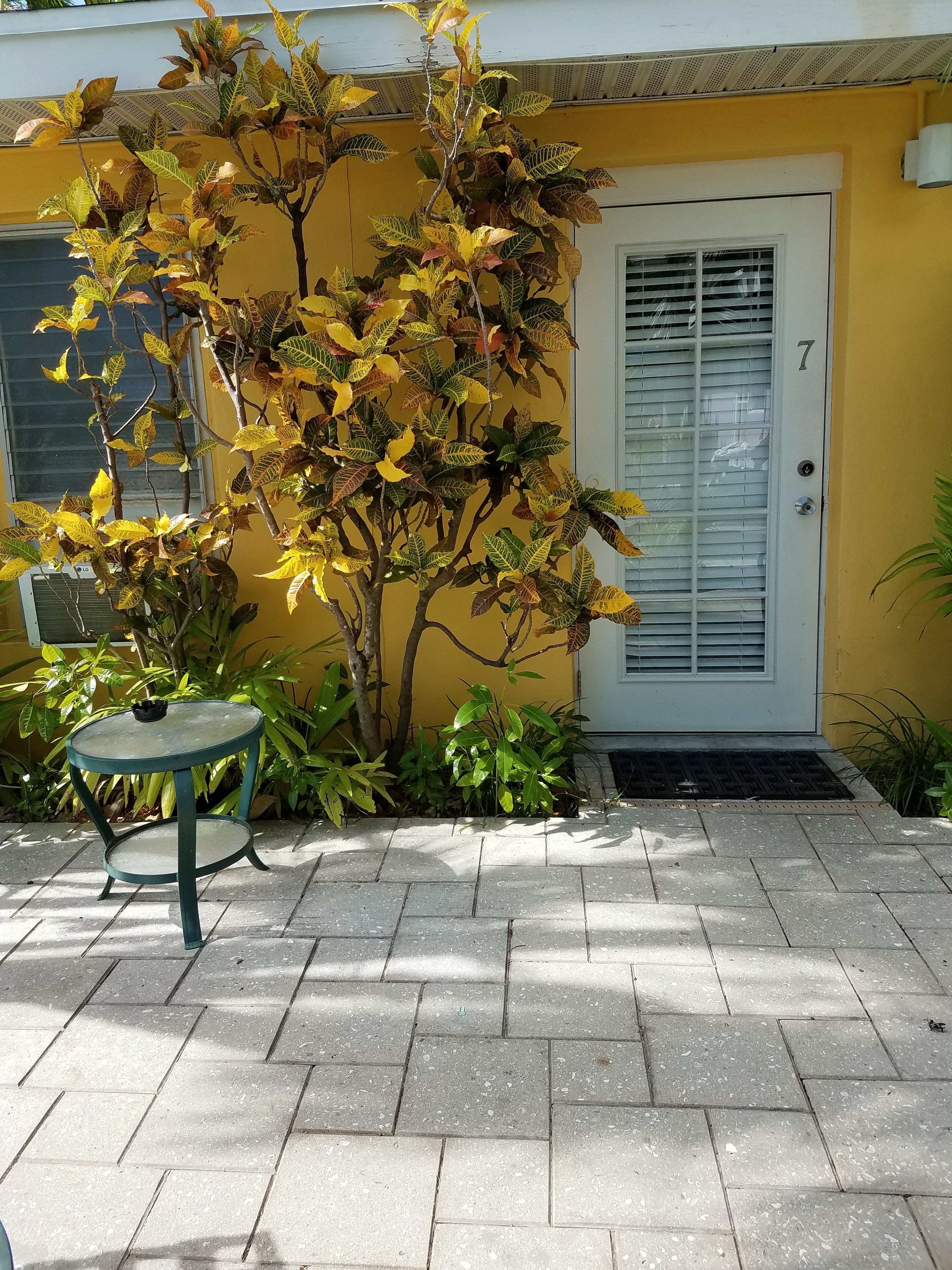 A patio with a table and chairs, a yellow wall, a door, and a tree with autumn leaves.