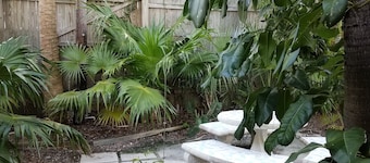 Alexander Palms Court