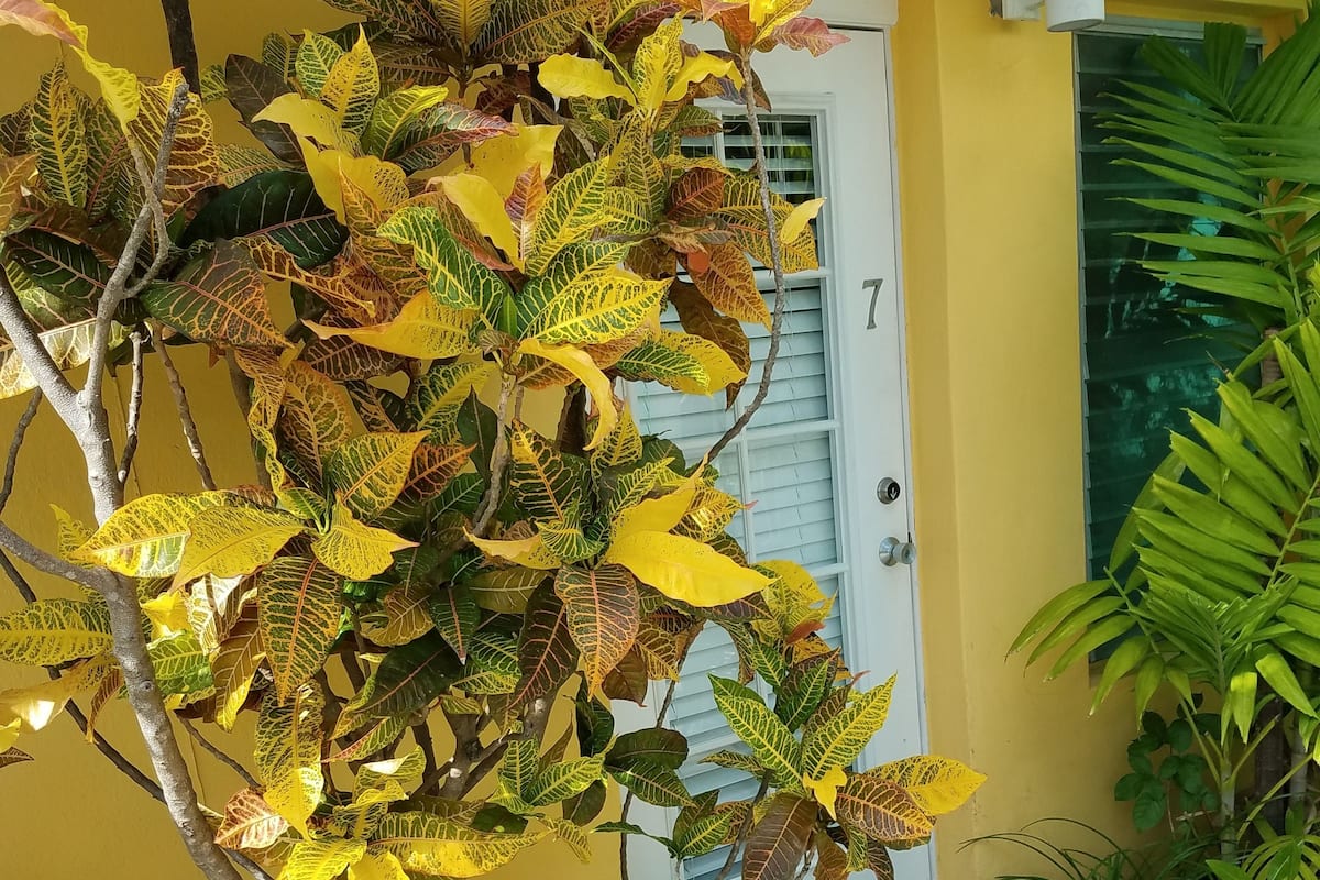 Queen Suite #7, Full Kitchen, Ground Floor, Pool View, Private Bathroom