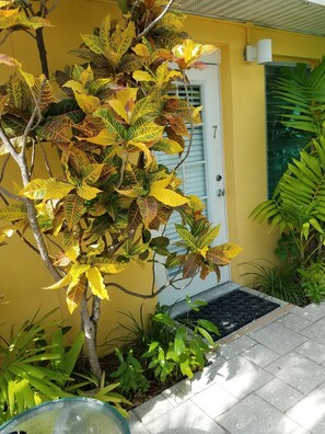 Queen Suite #7, Full Kitchen, Ground Floor, Pool View, Private Bathroom | Individually decorated, individually furnished, iron/ironing board - Alexander Palms Court (Key West)