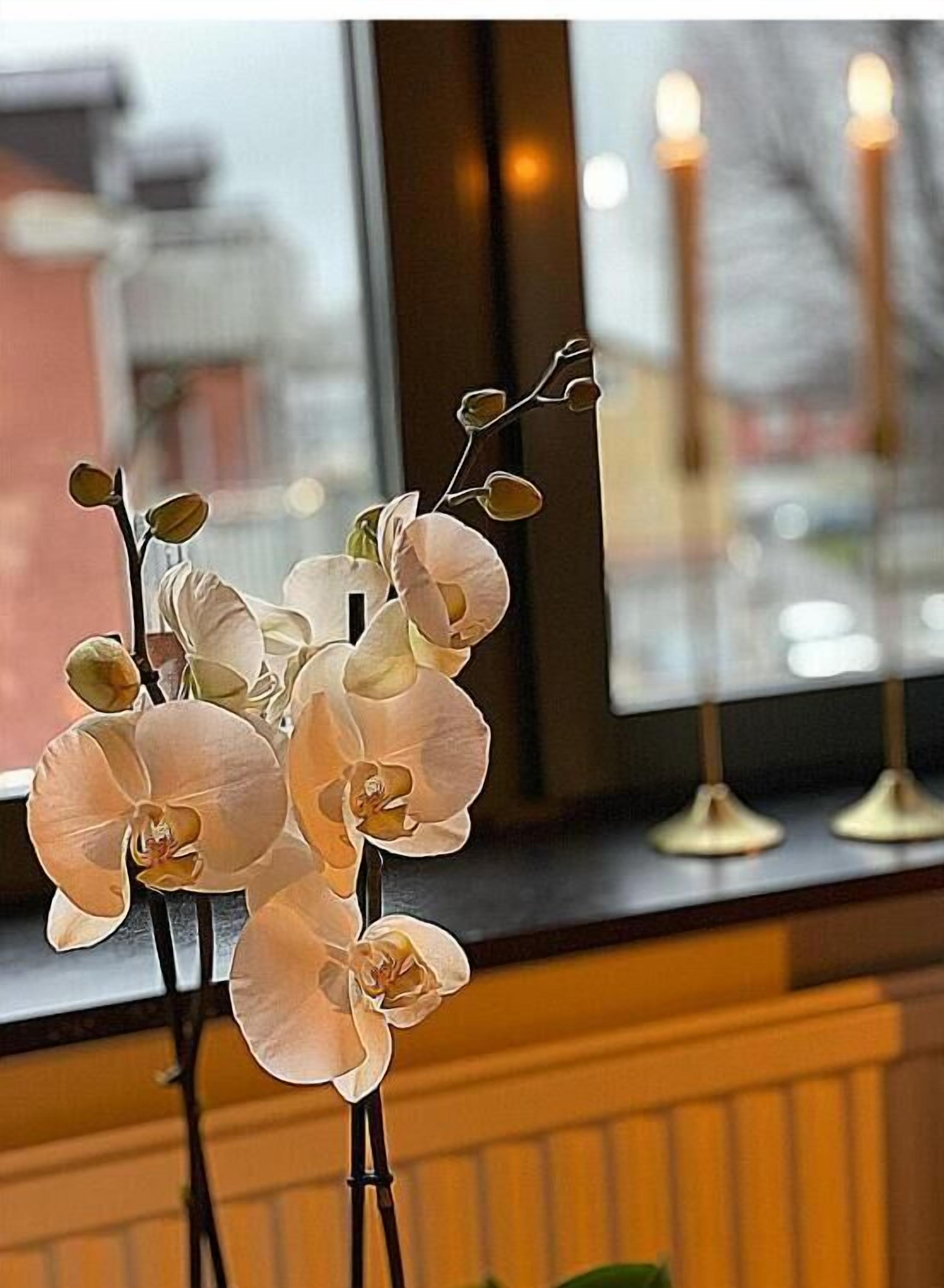 A window with a view of a cityscape, a vase with white orchids, and two lit candles on a windowsill.