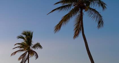 Sunscape Coco Punta Cana - All Inclusive