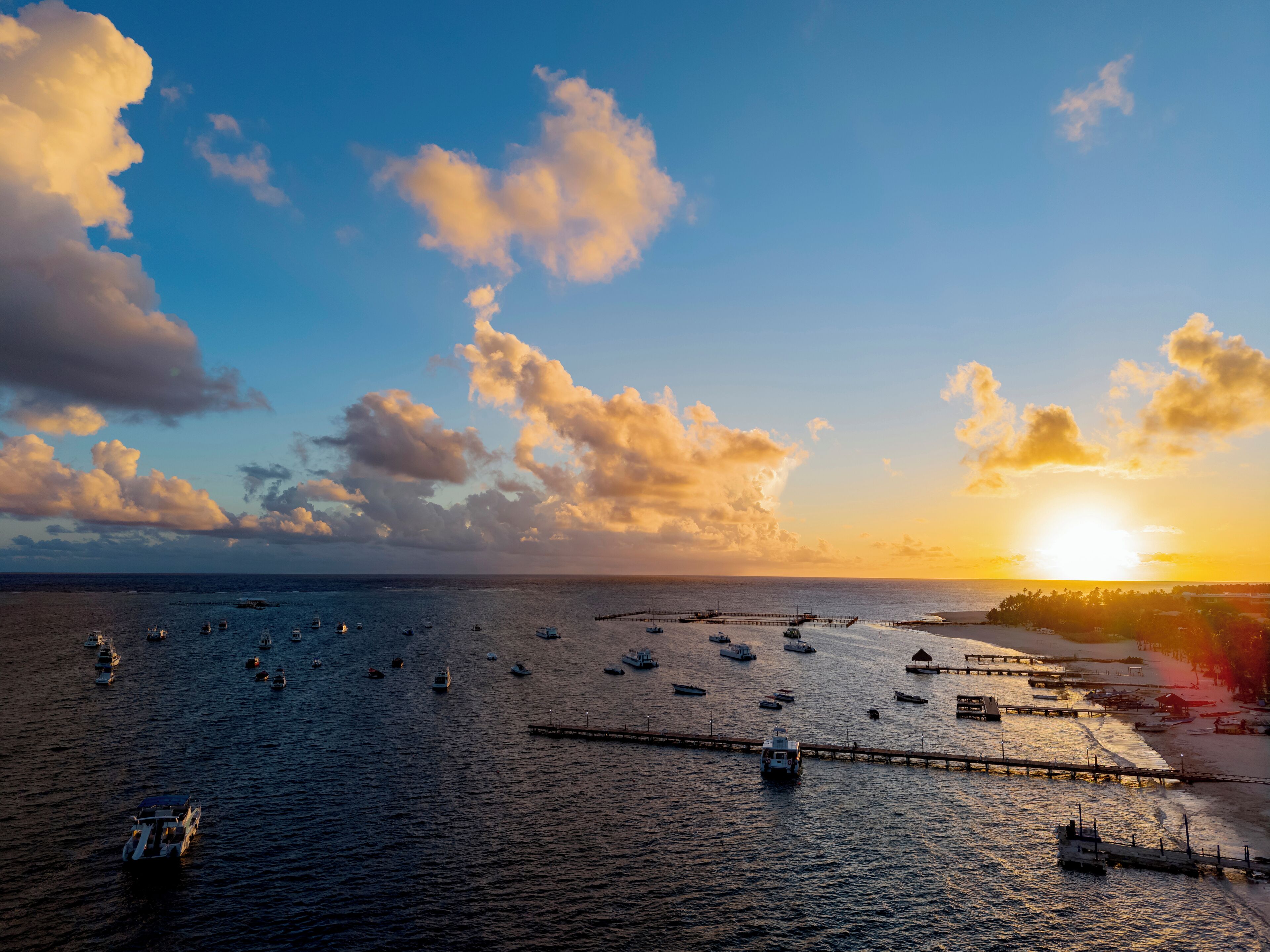 Photo - Sunscape Coco Punta Cana - All Inclusive