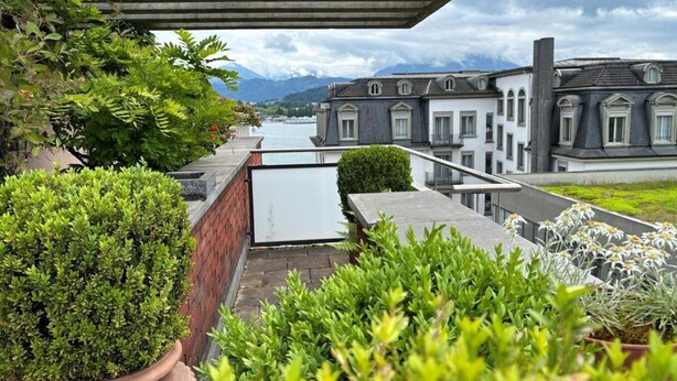 A rooftop terrace with potted plants, a view of a canal, and buildings in the background. - Hotel Luzernerhof (Lucerne)