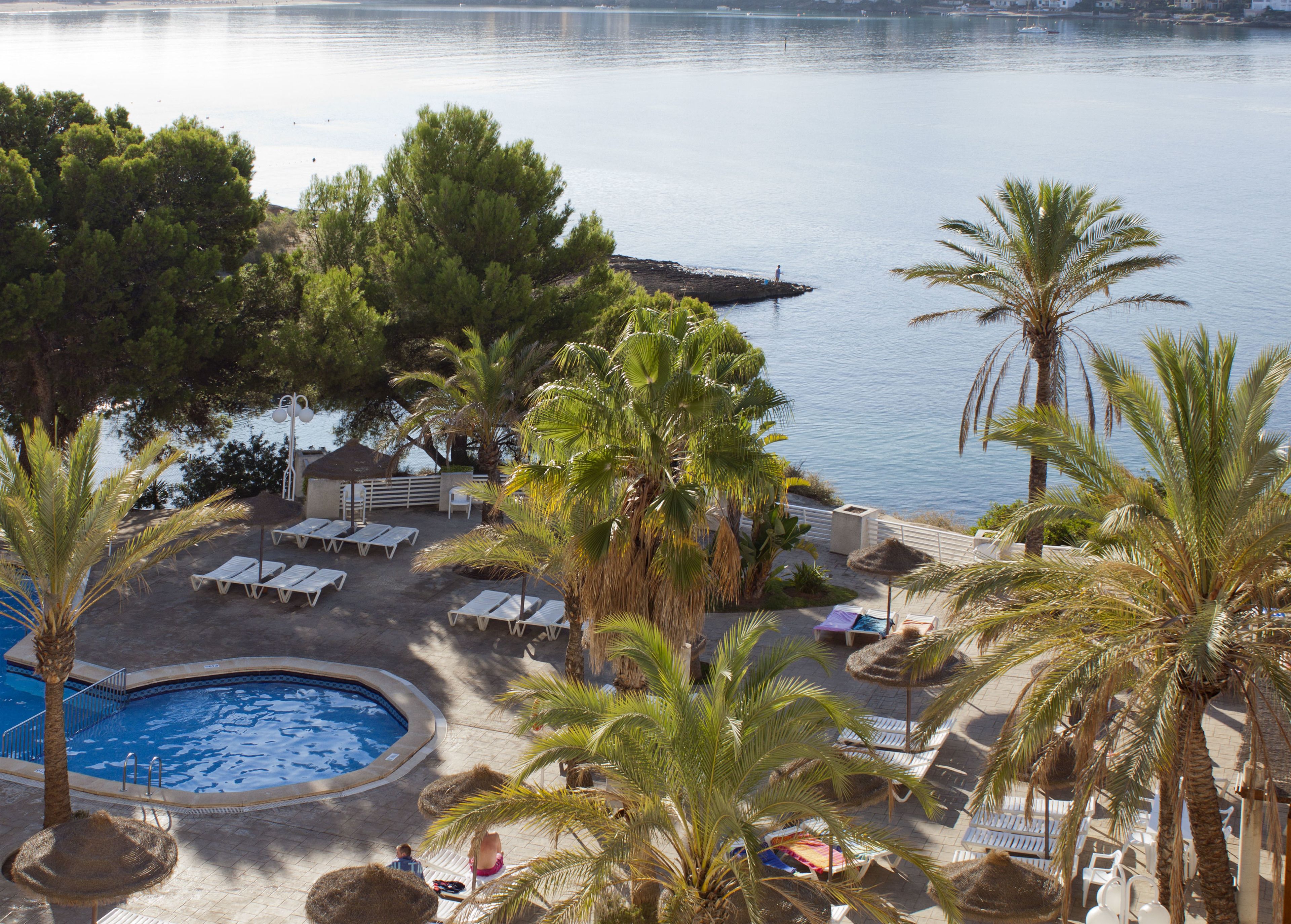 A poolside area with lounge chairs, a small pool, and palm trees.