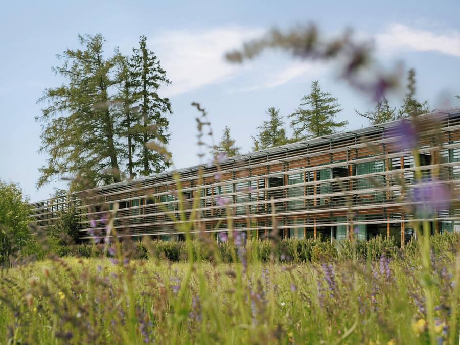 Een modern gebouw met een meerlaags structuur, omringd door hoge bomen en een veld vol bloemen.
