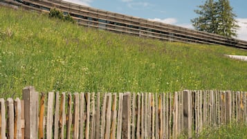 A wooden fence with a grassy field and a train in the background.