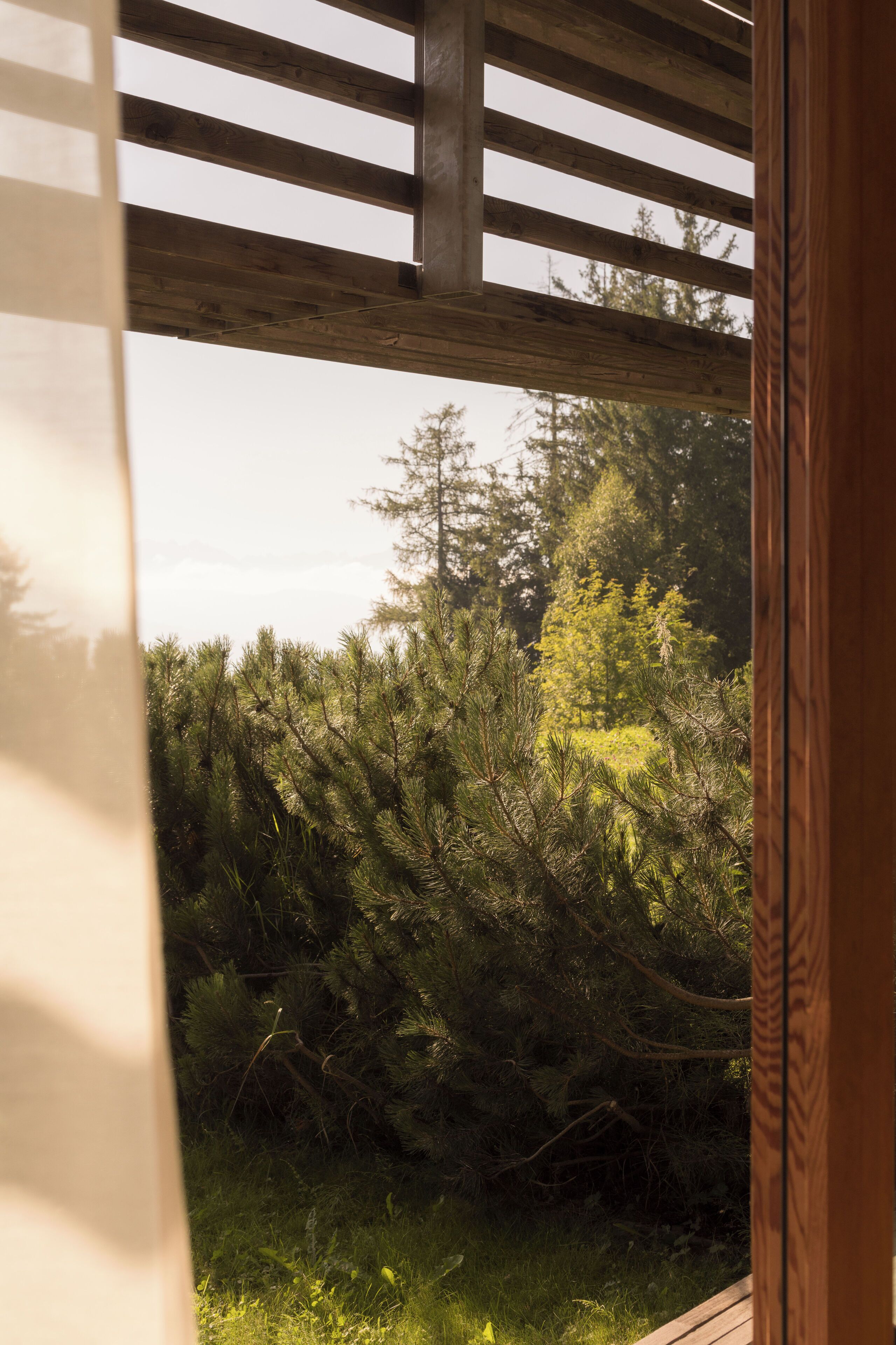 Una estructura de madera con vistas a árboles verdes y un cielo despejado.