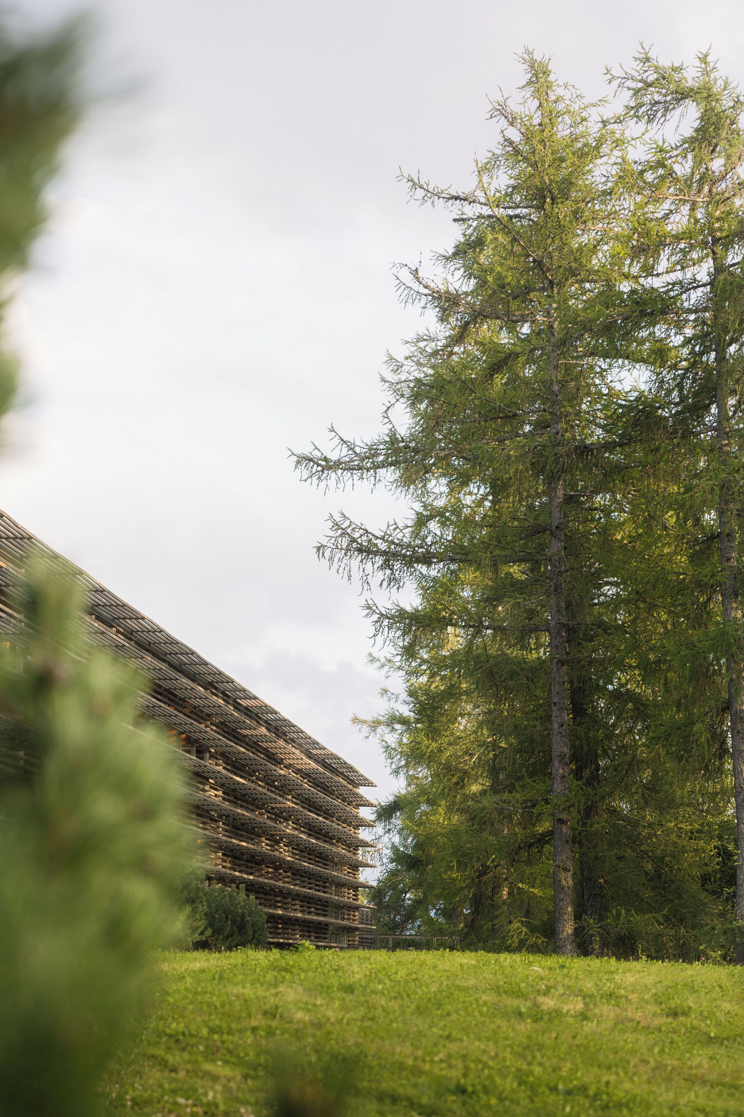 Un edificio dal design moderno, circondato da un'area verde e alberi alti.
