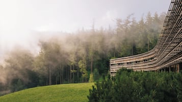 En modern byggnad med ett välvt tak, omgiven av ett skogsområde.