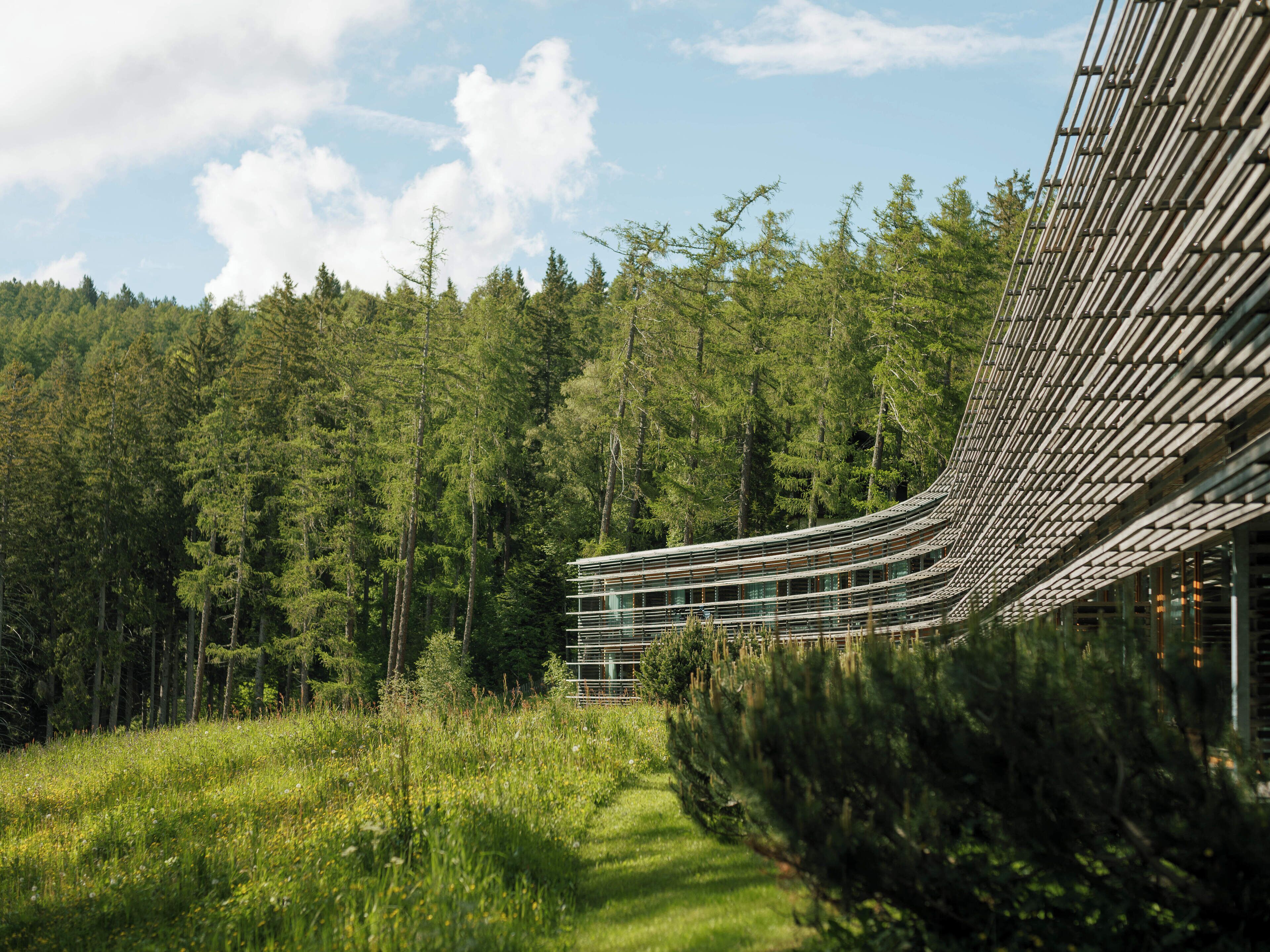 Ein modernes Gebäude mit einer gewölbten Metallfassade, umgeben von einem Wald.