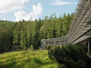 A modern building with a curved metal facade surrounded by a forest.