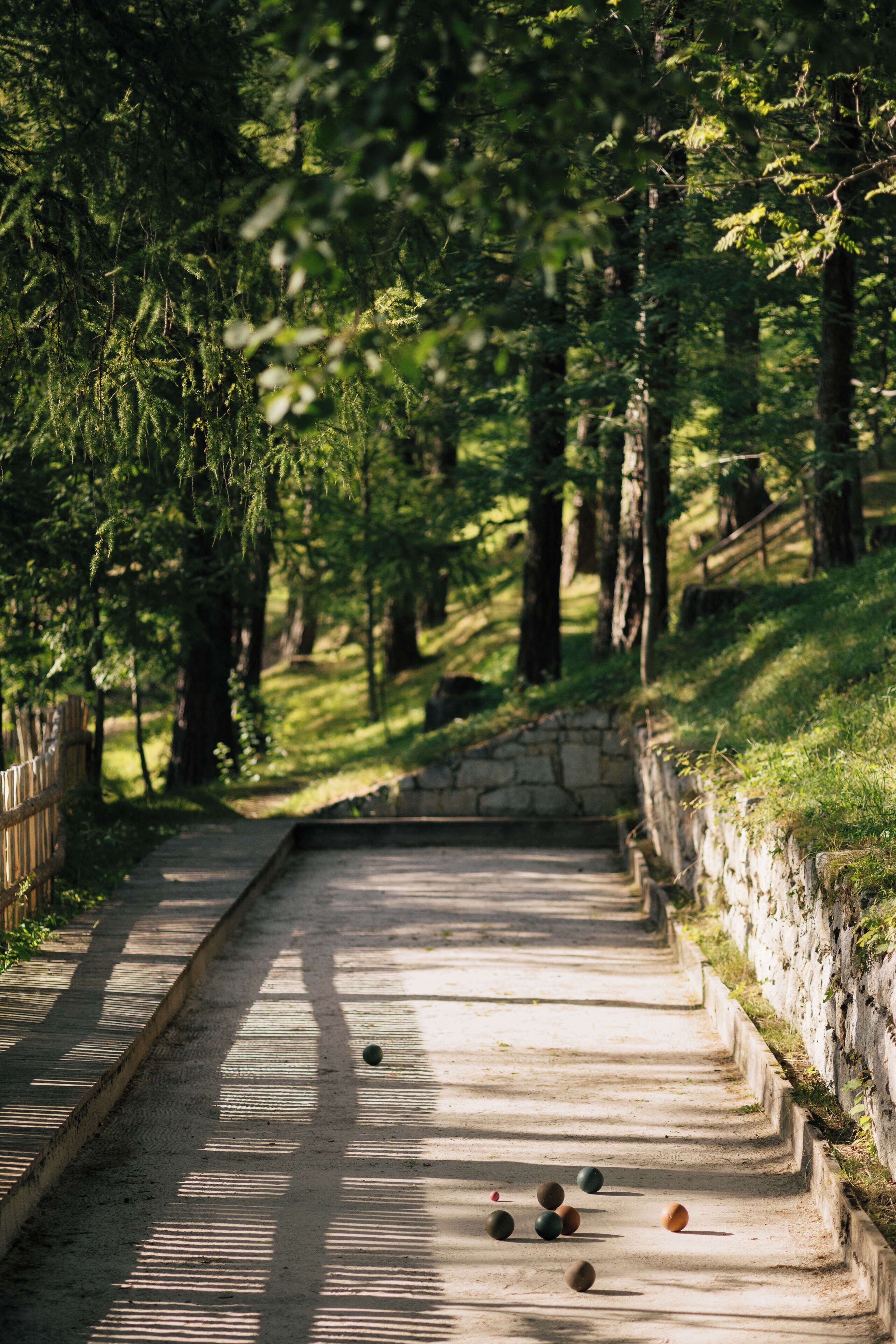 A pathway lined with trees and a stone wall on one side.
