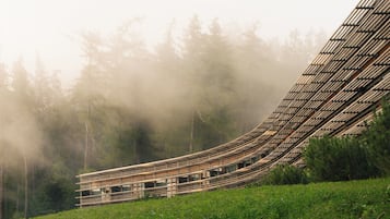 Un edificio moderno con estructura de techo curva, rodeado de un bosque.