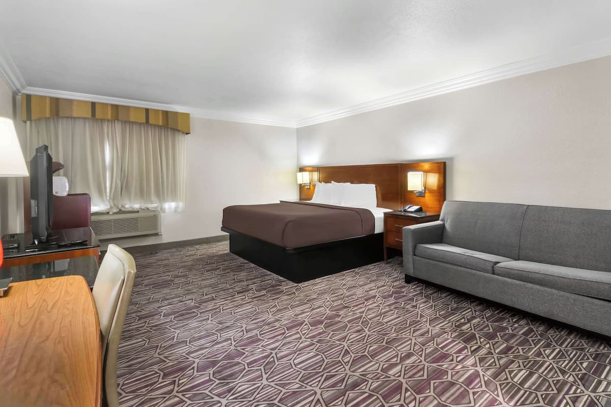Une chambre d’hôtel avec un lit, un canapé, un bureau avec un ordinateur et une moquette à motifs.