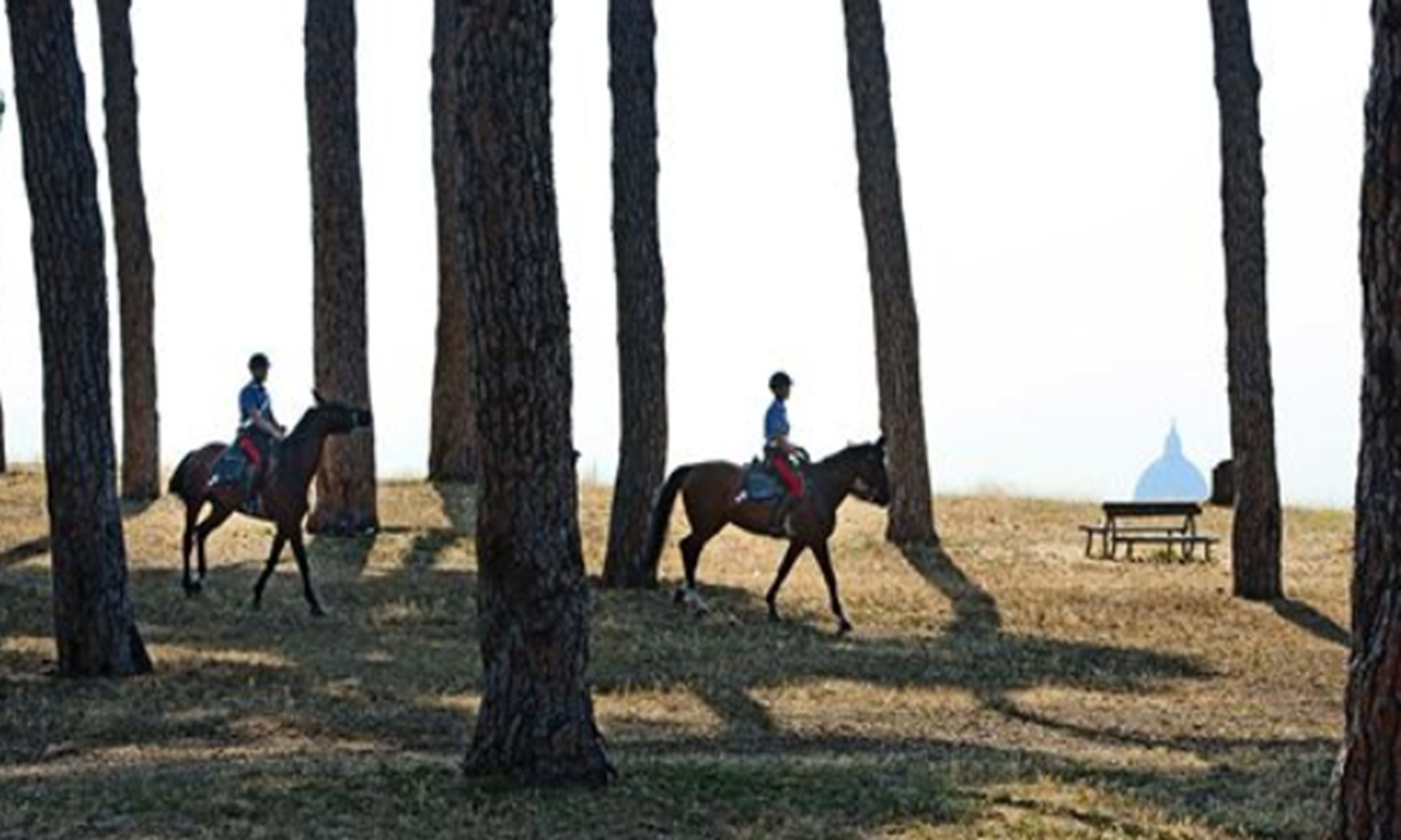 Foto - Pinewood Hotel Rome