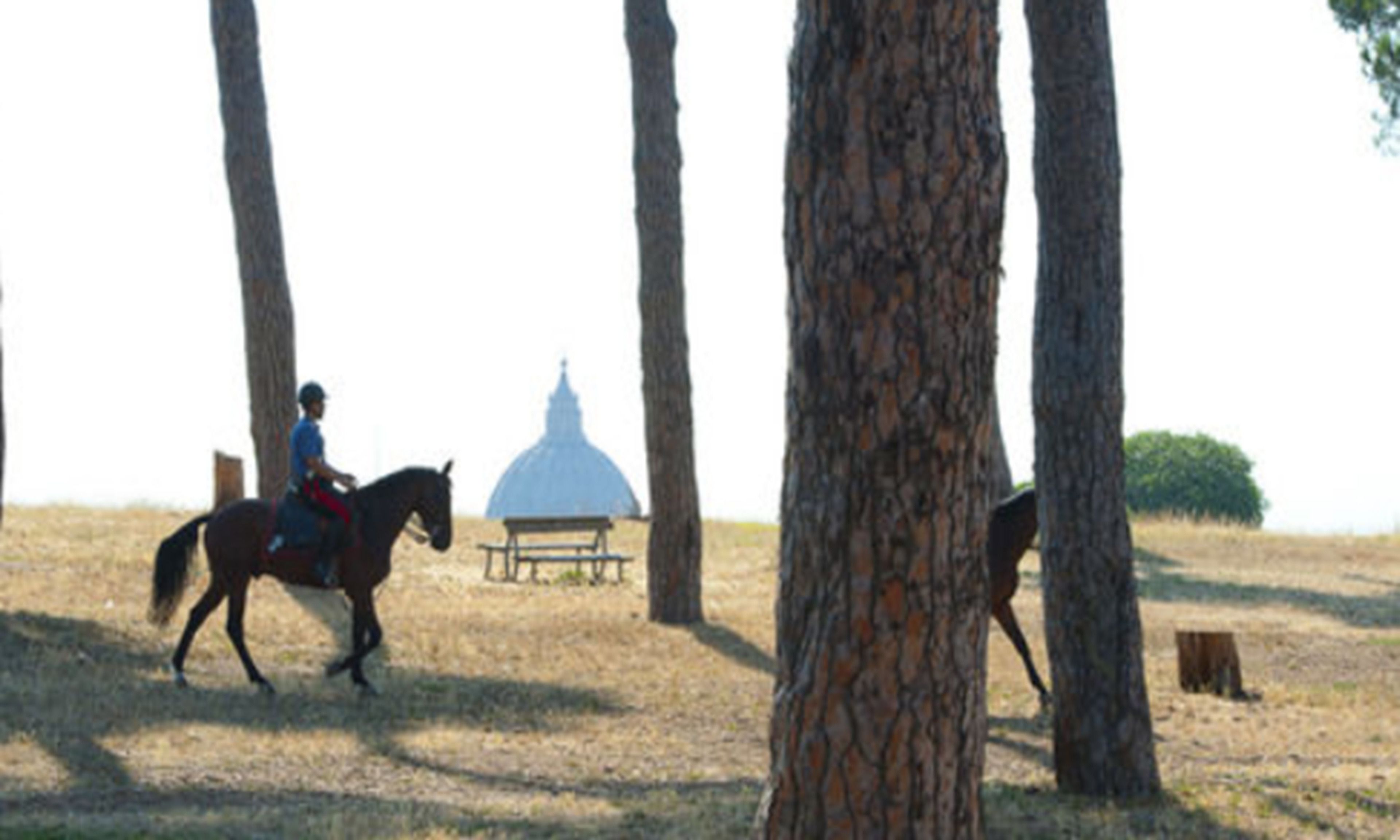 Foto - Pinewood Hotel Rome