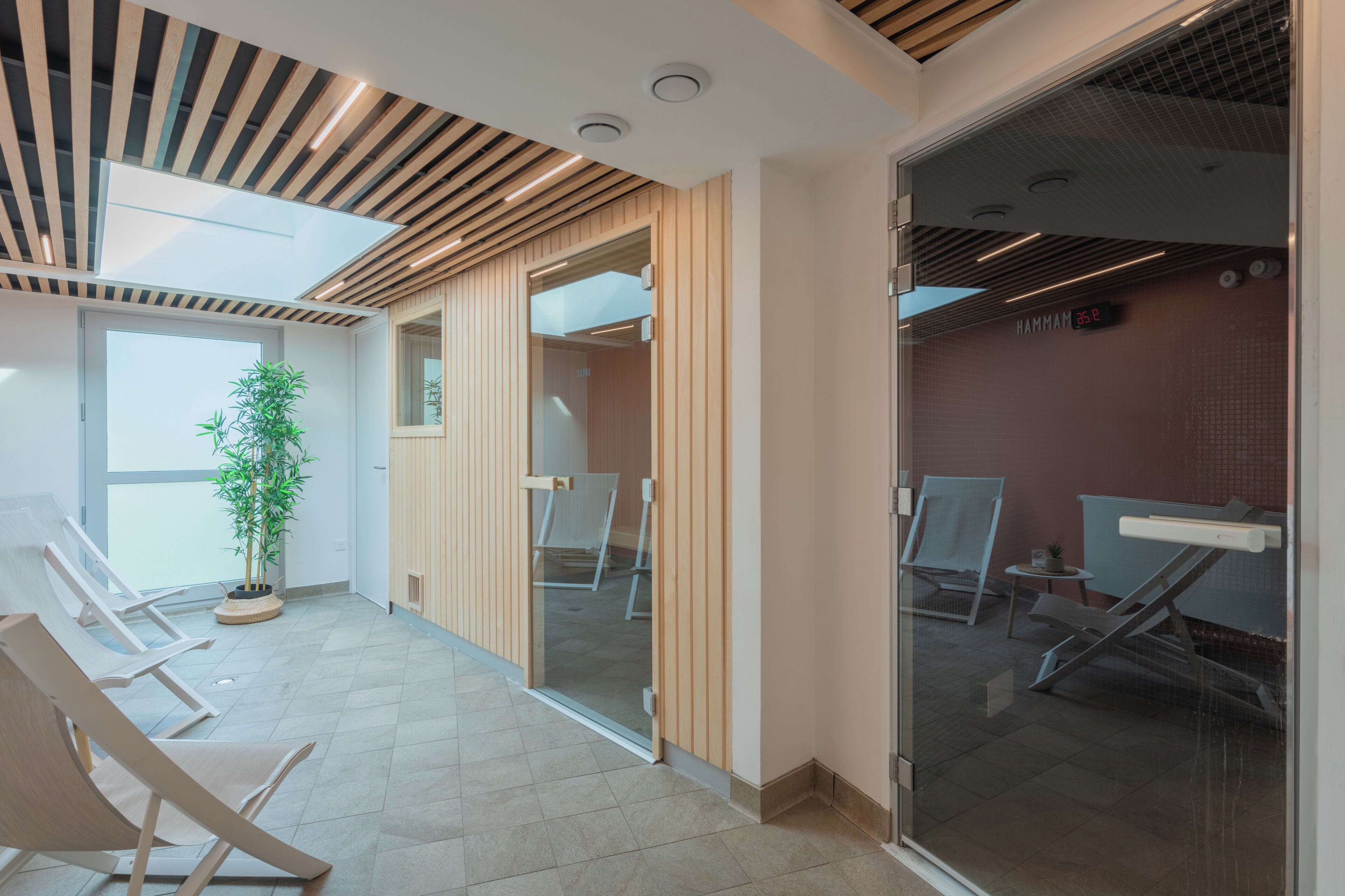A modern waiting area with wooden slats on the ceiling, a potted plant, and a glass partition separating the space.
