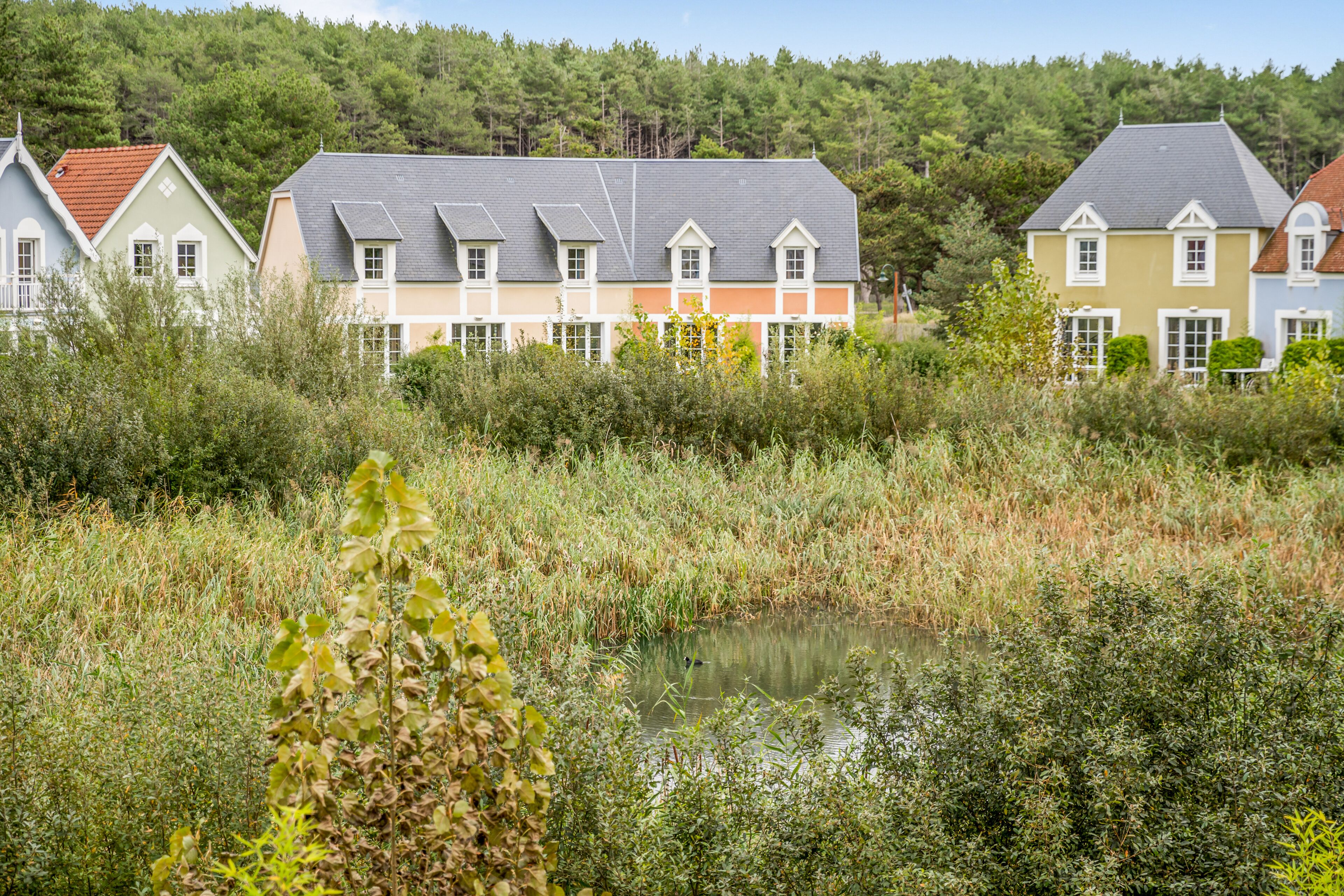 A row of houses with a pond in the foreground.