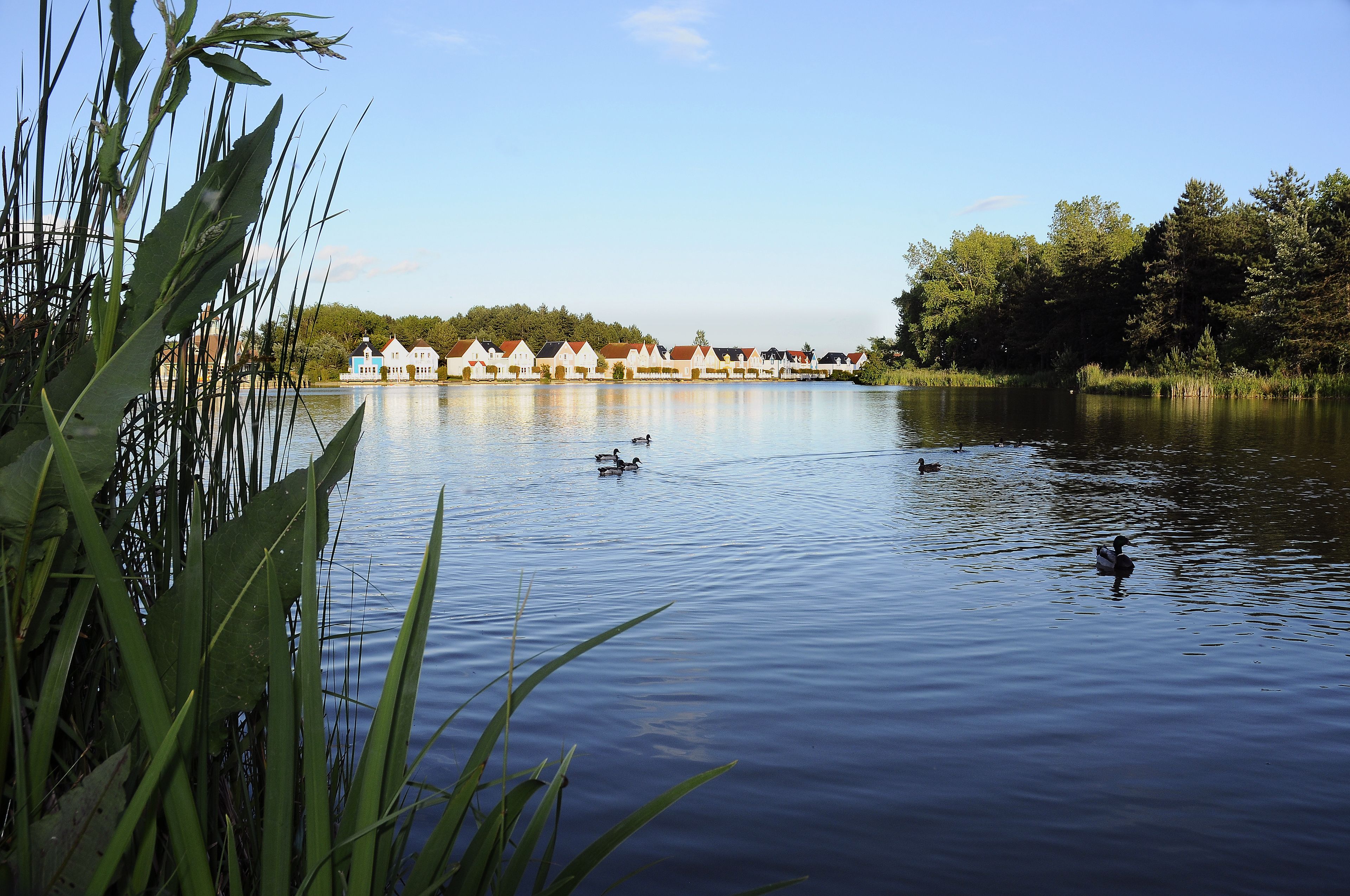 Un lago tranquilo con una hilera de casas blancas con tejados marrones al fondo.