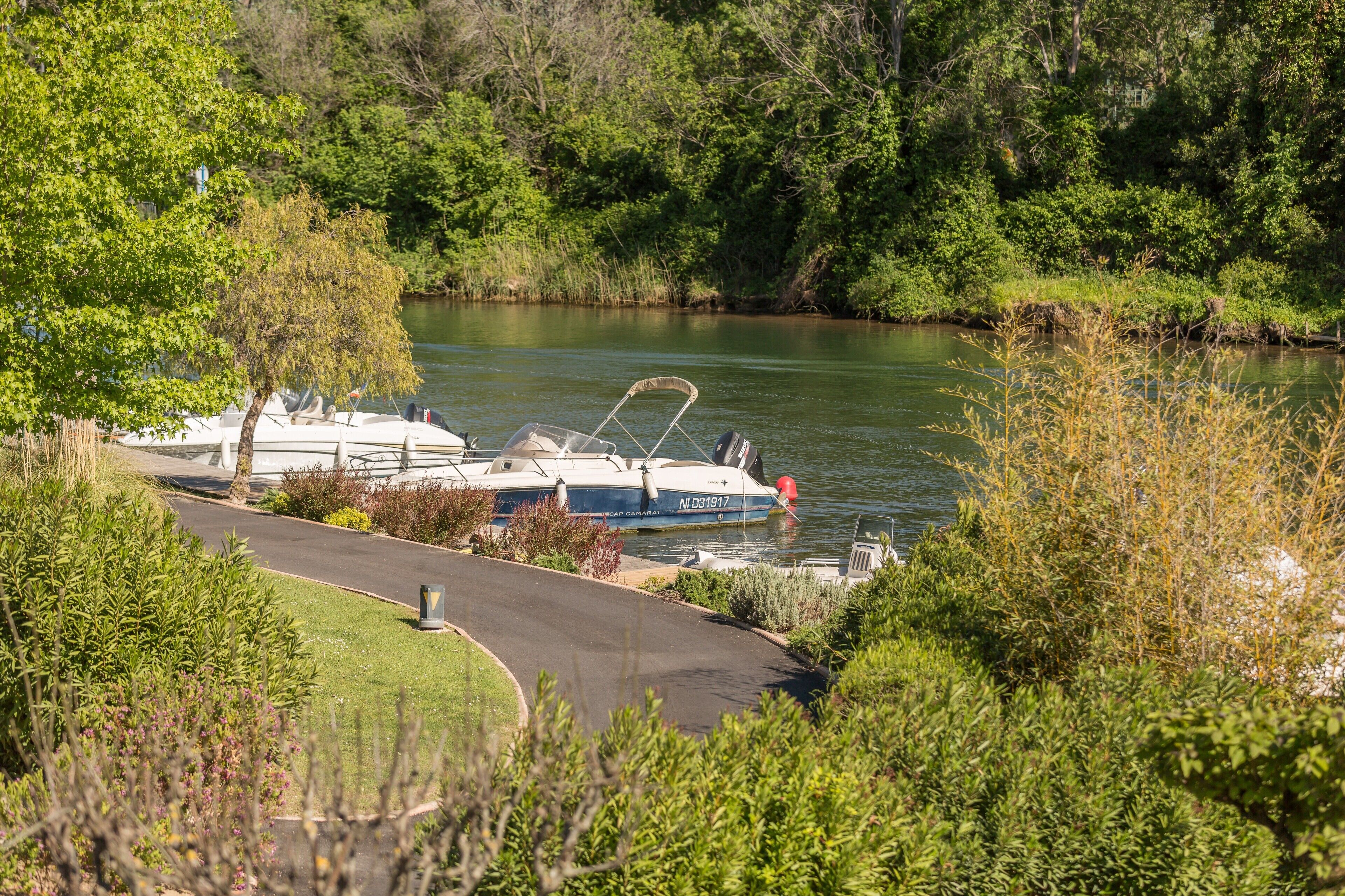 A boat docked at a marina surrounded by lush greenery.
