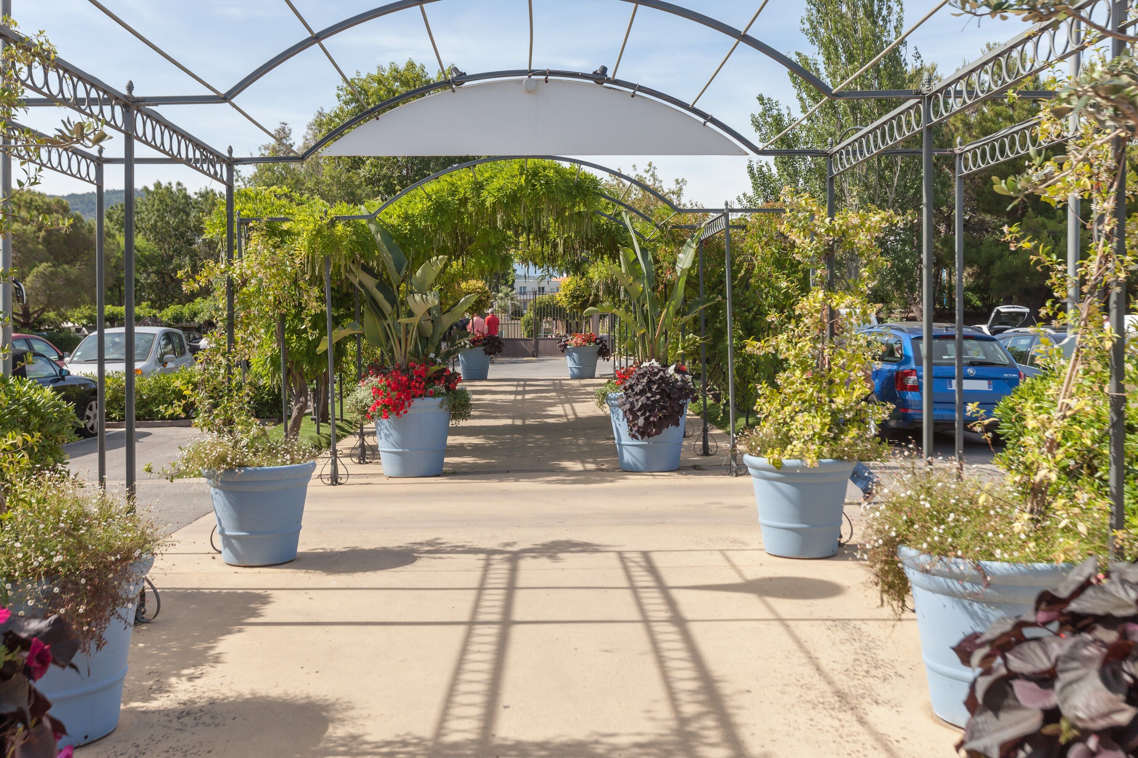 Une allée couverte agrémentée de plantes en pot et dotée d’une structure en métal.