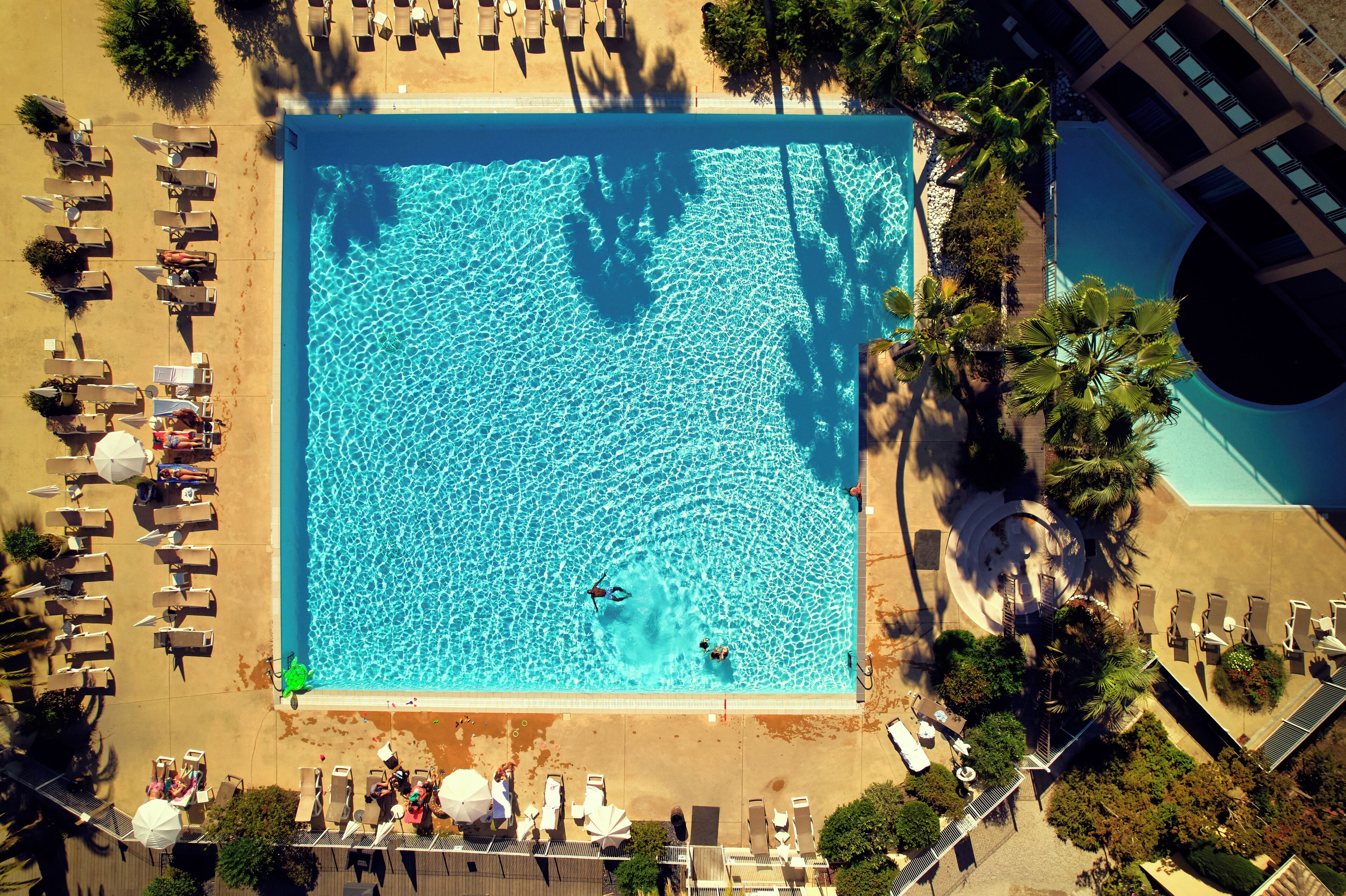 An aerial view of a square swimming pool surrounded by sun loungers and palm trees.