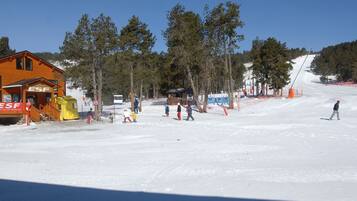 Sne- og skisport