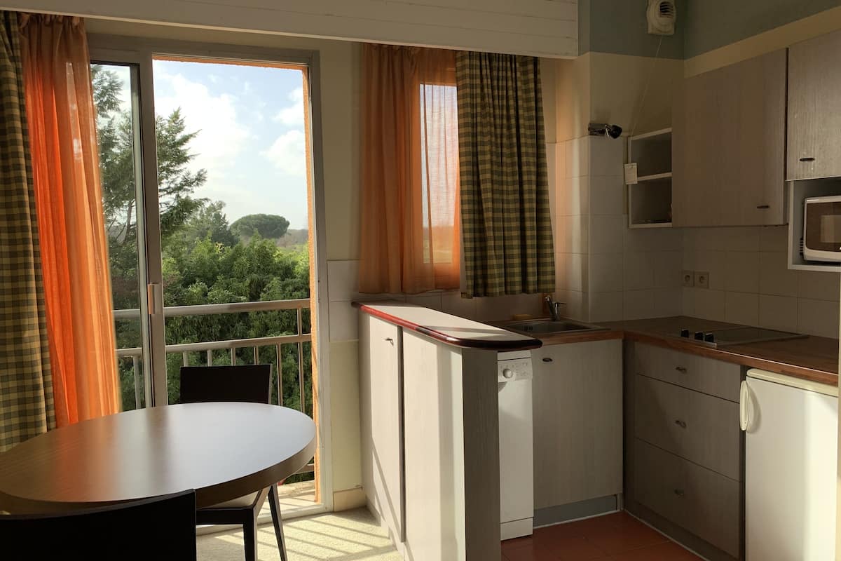 apartment, 2 double beds, kitchenette | private kitchen | fridge, eco-friendly cleaning products