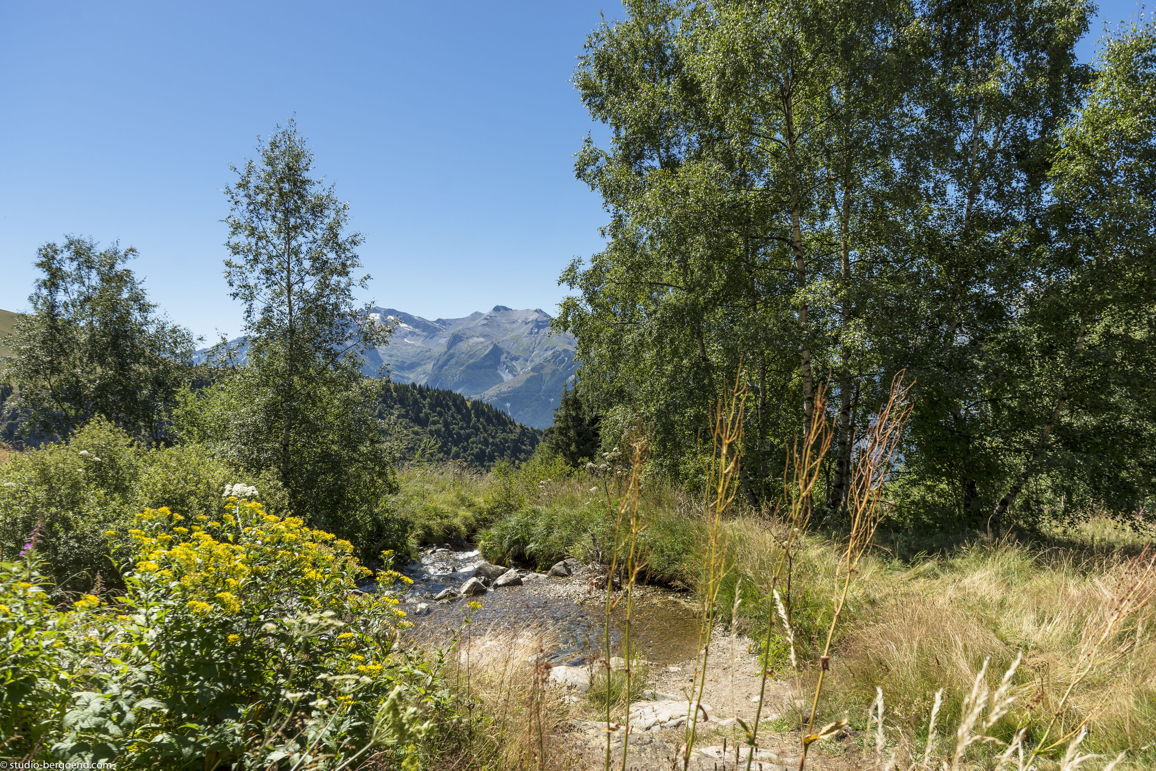 Un paisaje natural con un arroyo, árboles y montañas al fondo.