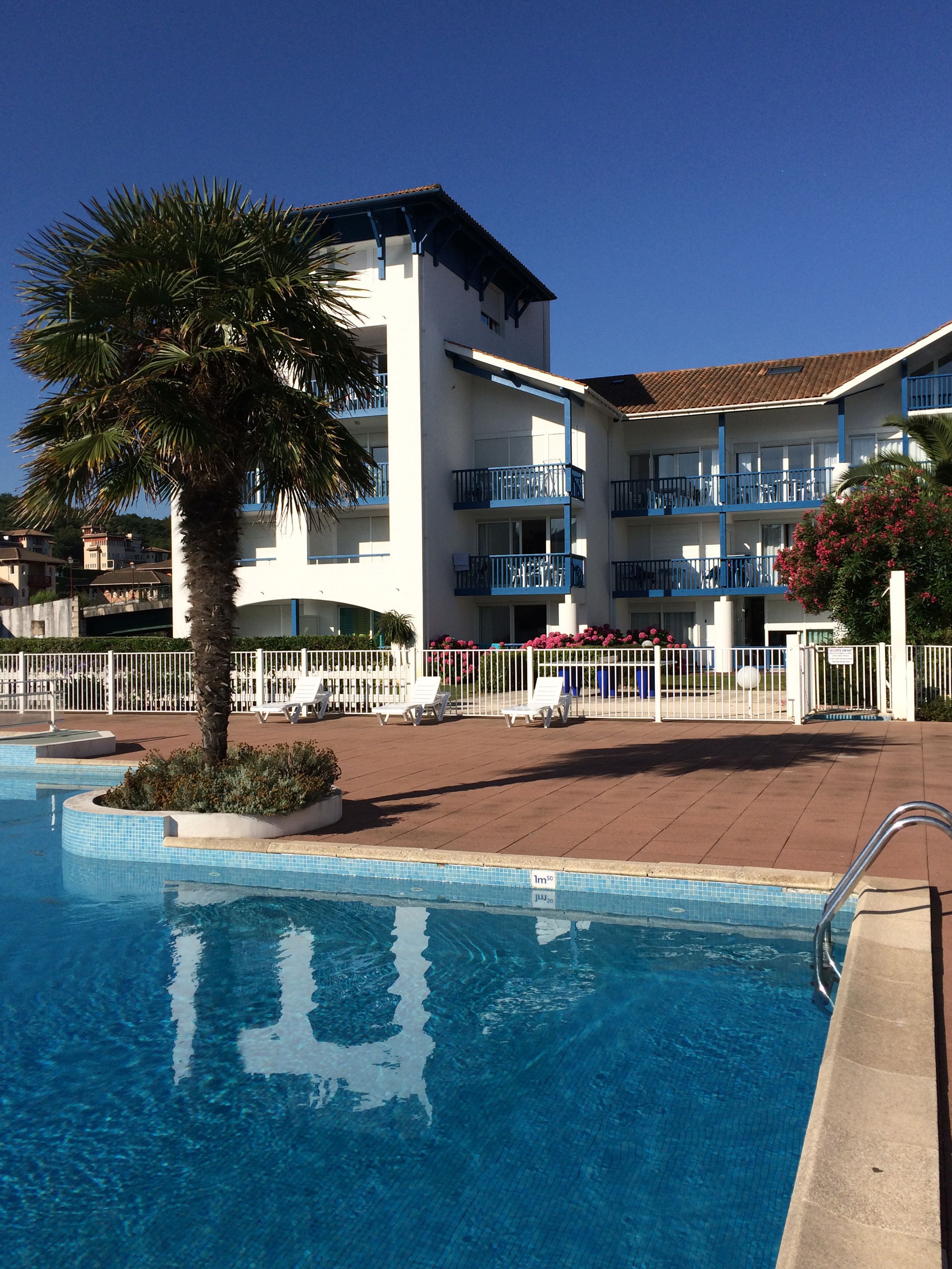 Un hotel con piscina, balcones blancos y una palmera.