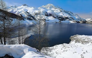 Terrain de l’hébergement