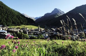 Terrain de l’hébergement 