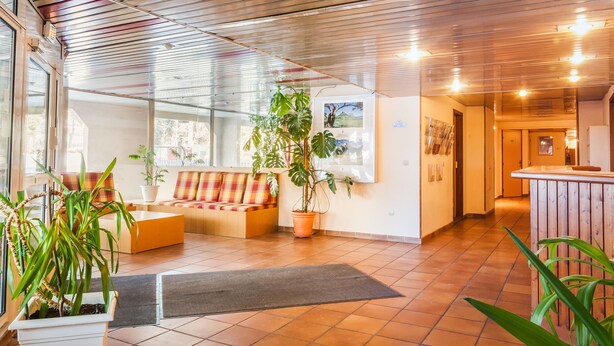Un vestíbulo espacioso con techo de madera, una zona de estar con sofá y sillones, una gran planta en maceta y vistas al exterior a través de amplias ventanas.