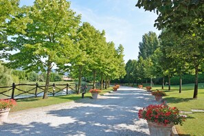 A pathway lined with trees and flower pots, leading towards a body of water. - Hotel Calamidoro (Calcinaia)