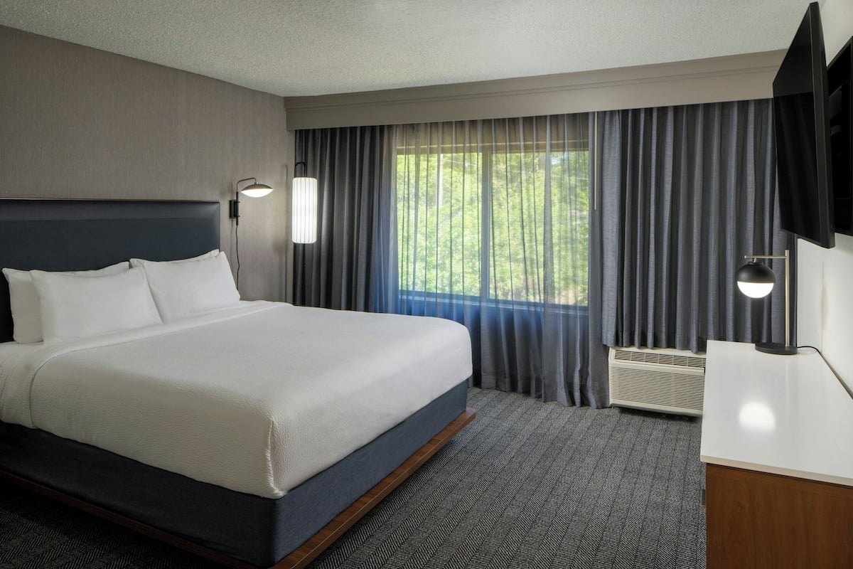 Room, 1 King Bed with Sofa bed