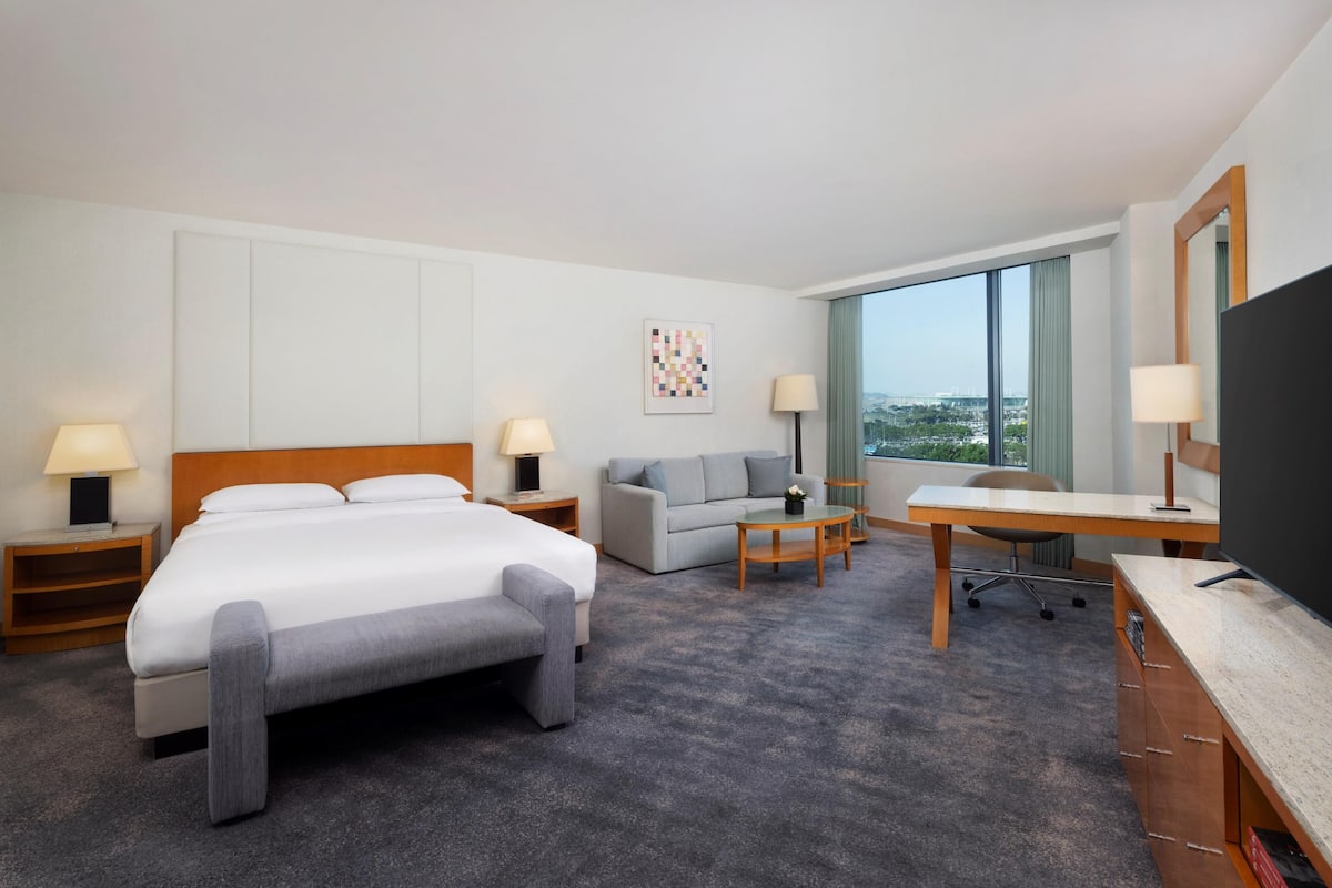 Family Room, 1 King Bed
