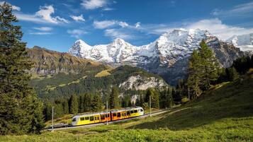 Un train circule sur des voies ferrées, avec un paysage montagneux en arrière-plan.