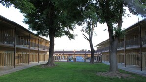 Un patio con dos árboles grandes, un área con césped y un edificio con un balcón a la izquierda.