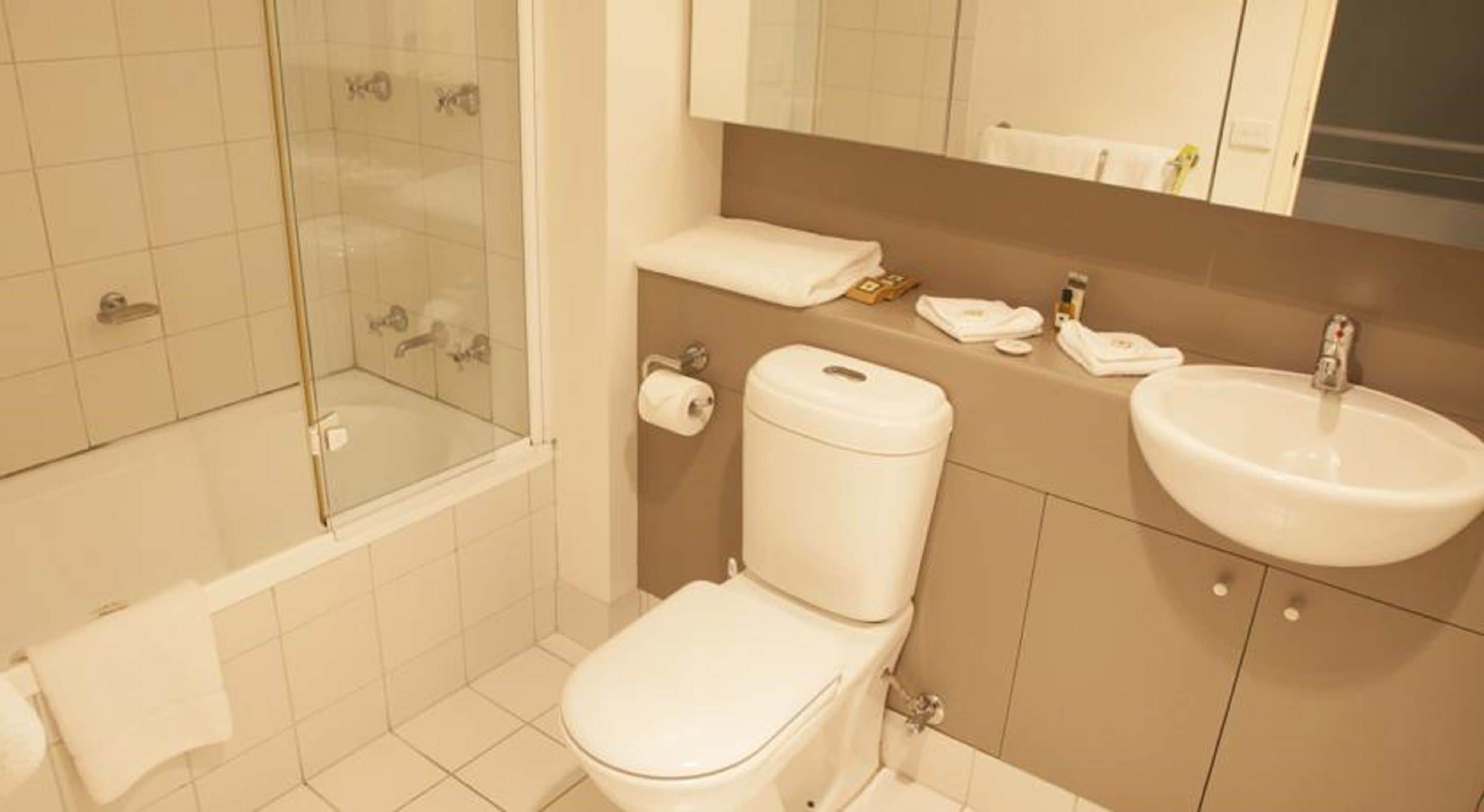 combined shower/bathtub, free toiletries, hair dryer, towels