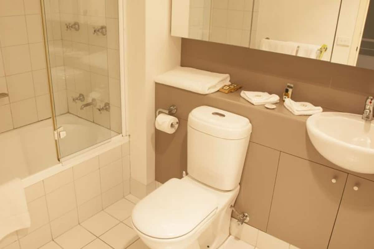 combined shower/bathtub, free toiletries, hair dryer, towels