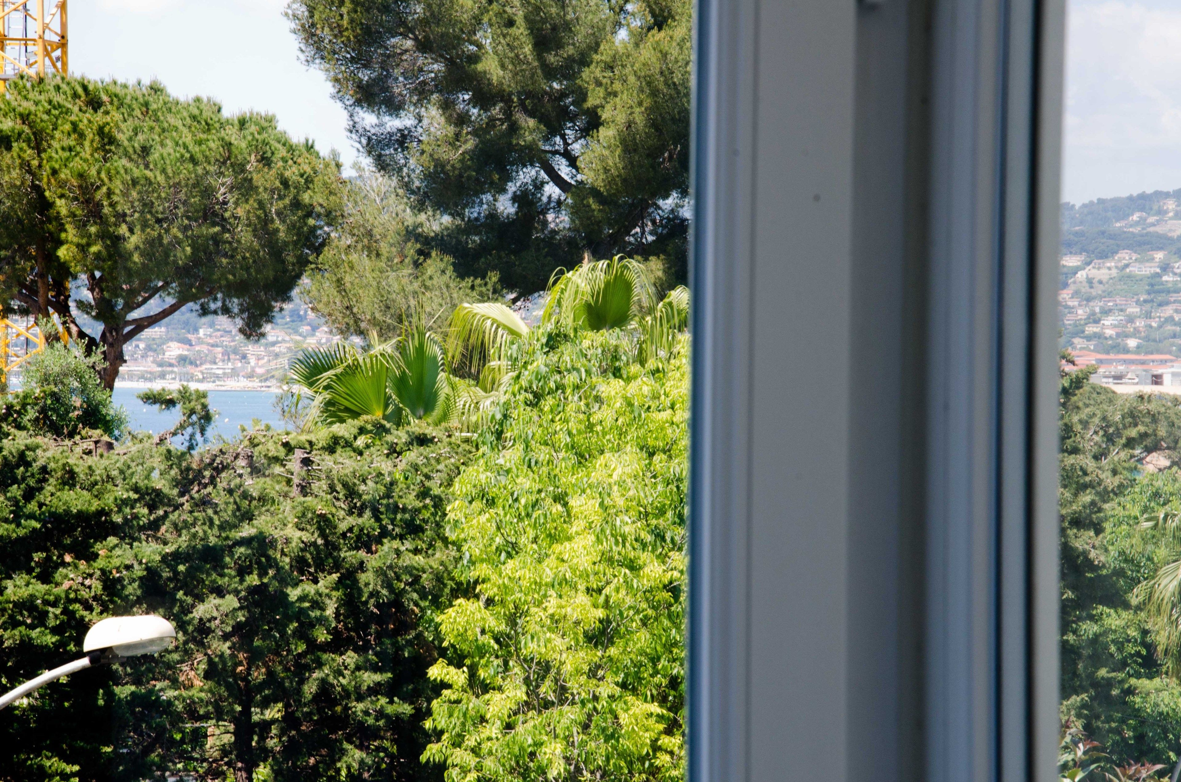 Vista a través de una ventana de un jardín exuberante con diversos árboles y arbustos, una grúa al fondo y un paisaje urbano distante.