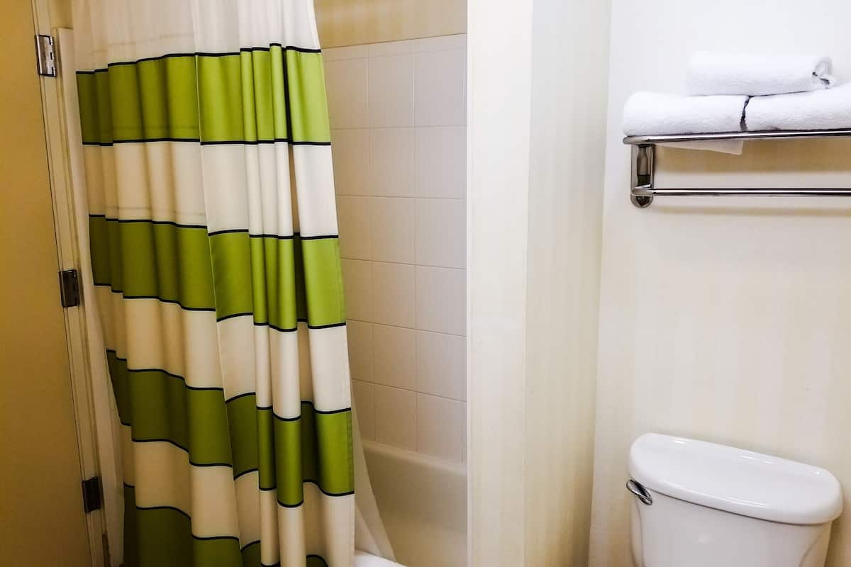 combined shower/bathtub, free toiletries, hair dryer, towels