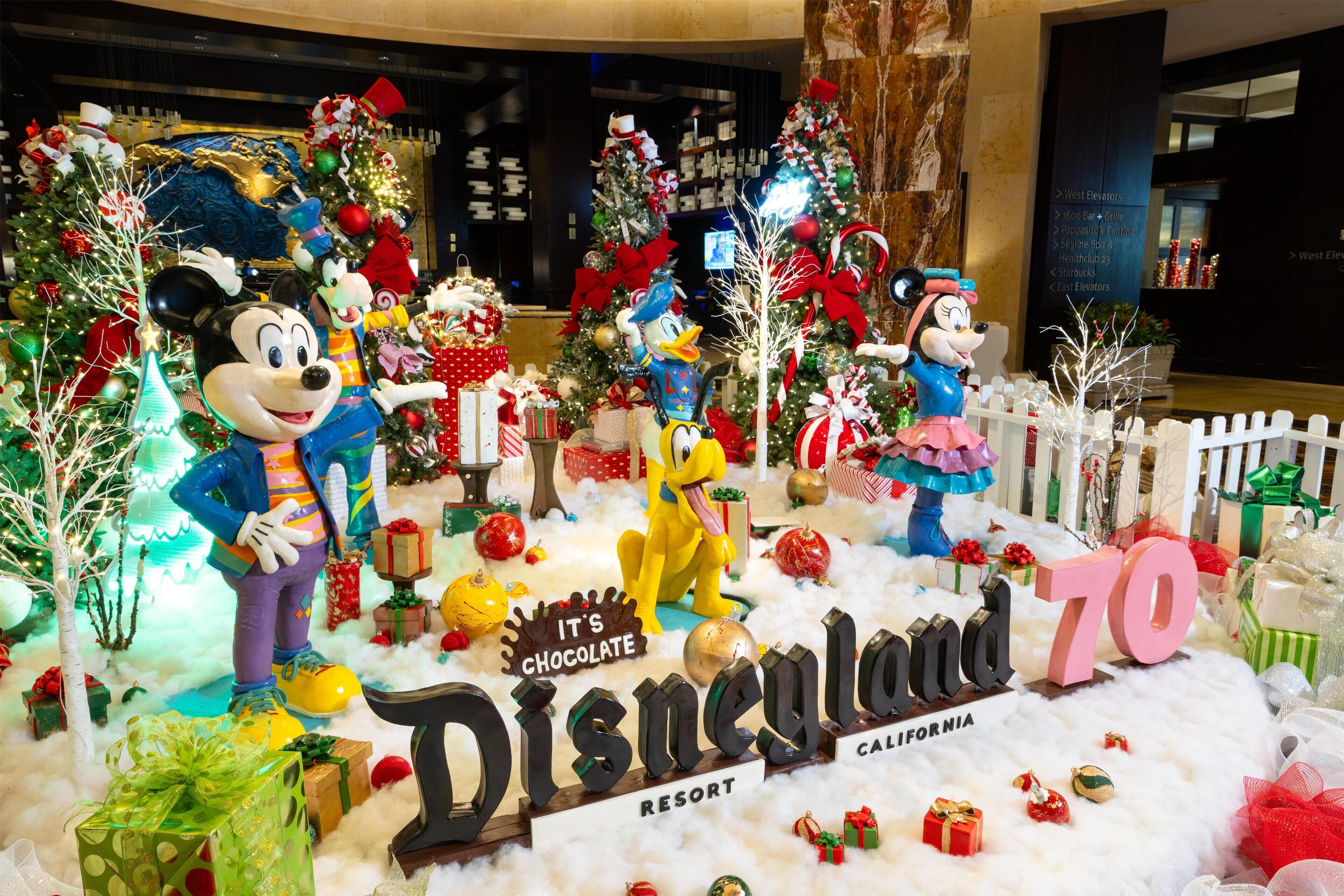 Foto - Hilton Americas - Houston