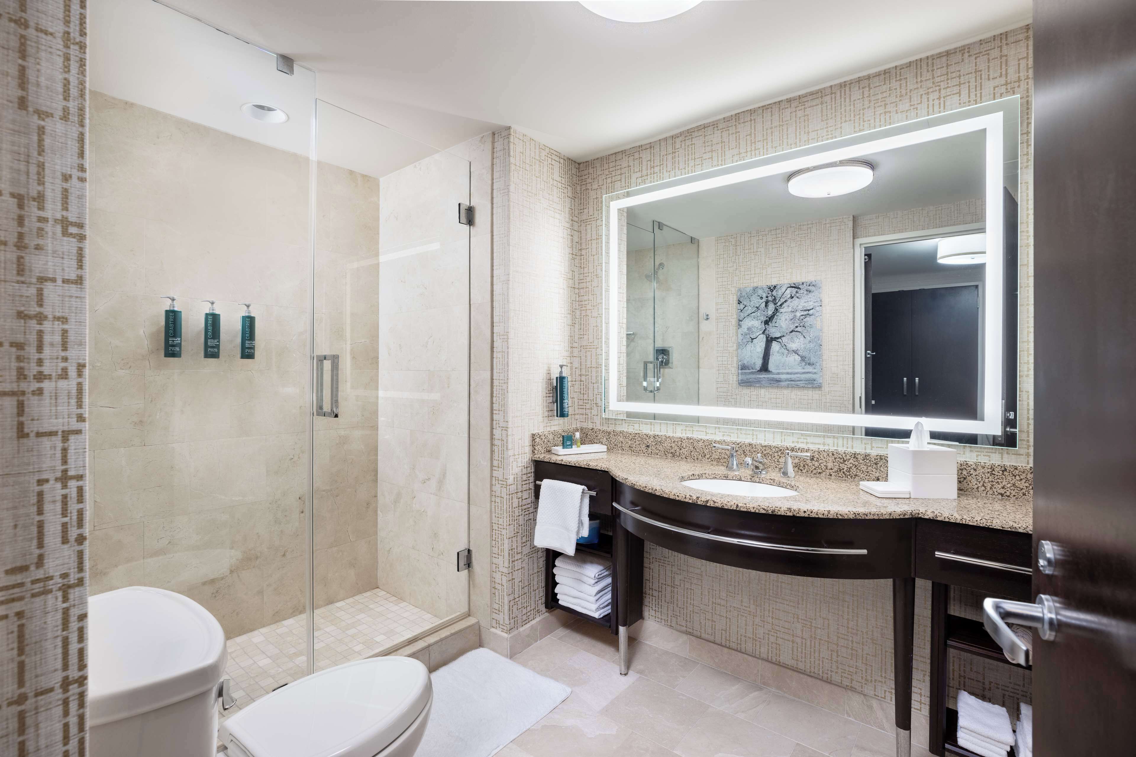 Un baño moderno con ducha de vidrio, un espejo grande y un lavamanos con pileta y encimera.