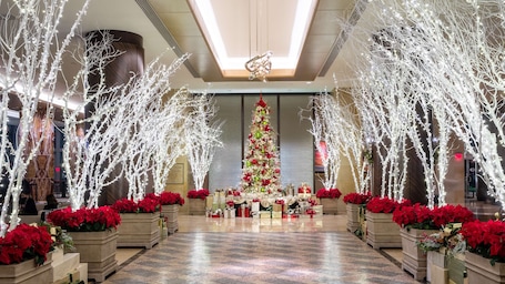 Lobby. Hilton Americas-Houston