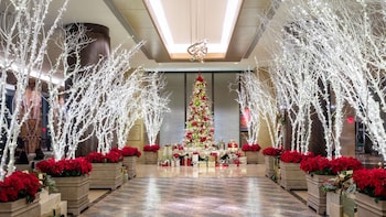 Hotel entrance and lobby at Hilton Americas-Houston
