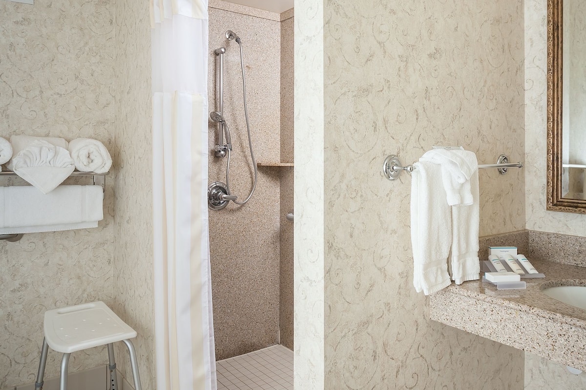 combined shower/bathtub, free toiletries, hair dryer, towels